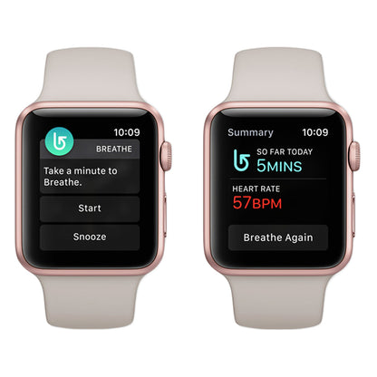 Rose Gold Aluminum with Starlight Sport Band