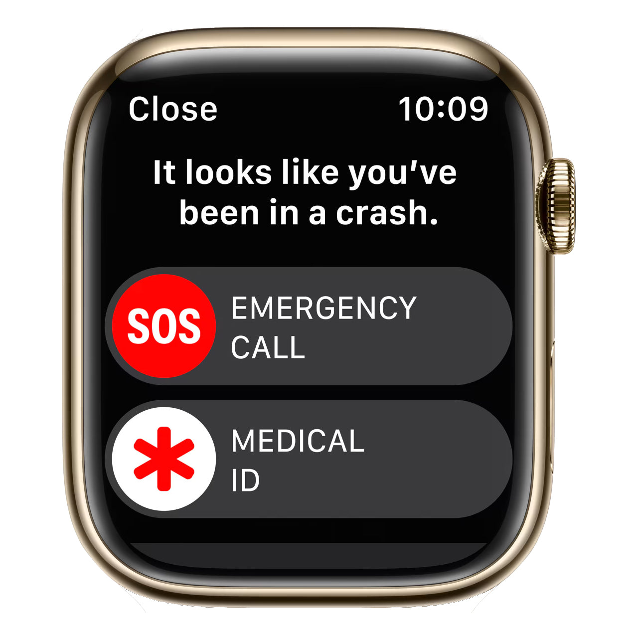 Gold Stainless Steel with Starlight Sport Band