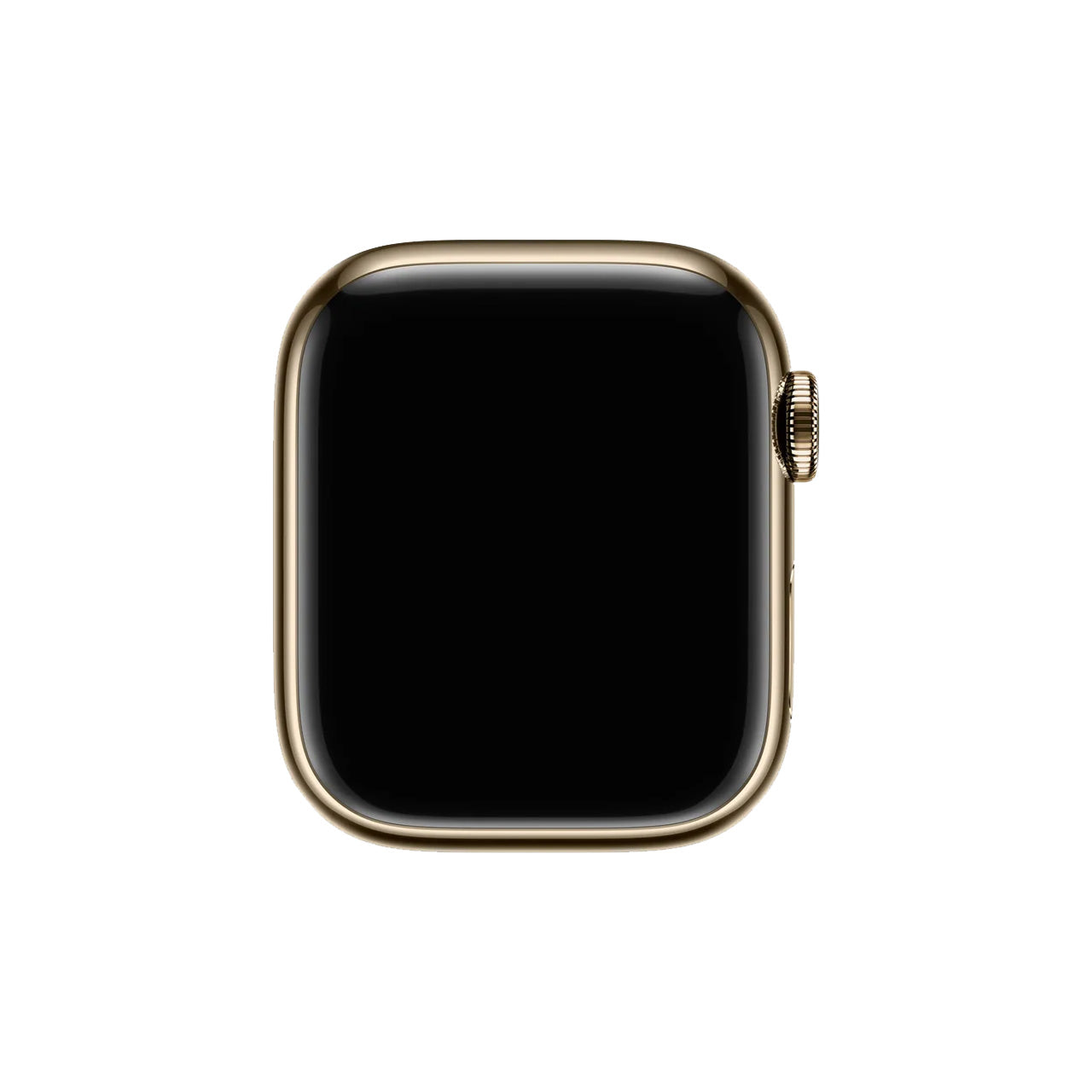 Gold Stainless Steel with Clay Sport Band