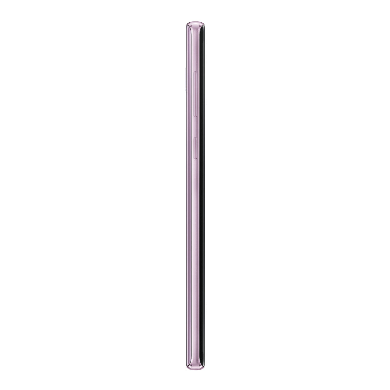 Lavender Purple