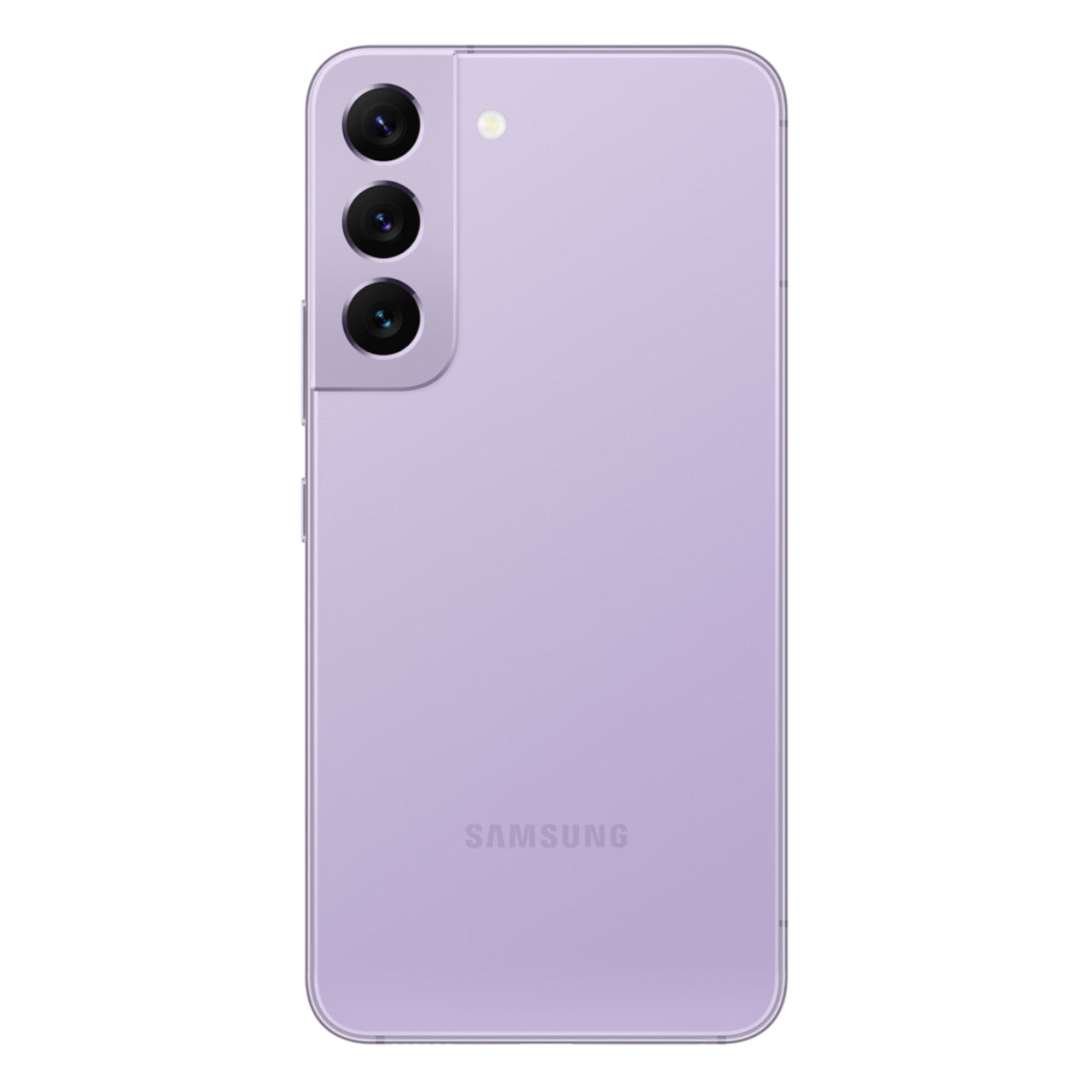 Bora Purple