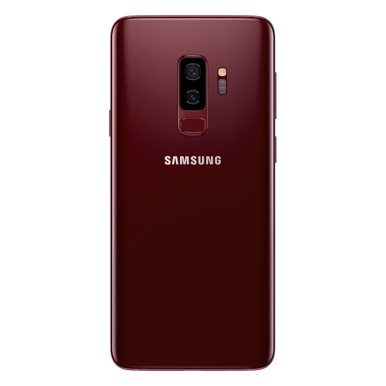 Burgundy Red