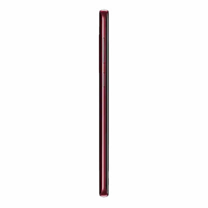 Burgundy Red