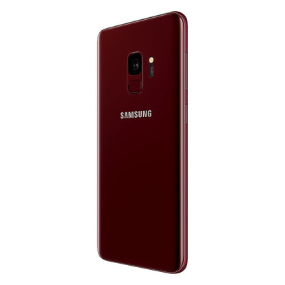 Burgundy Red