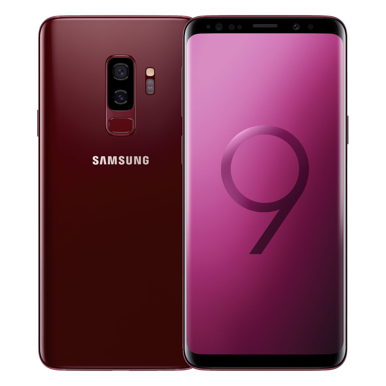 Burgundy Red