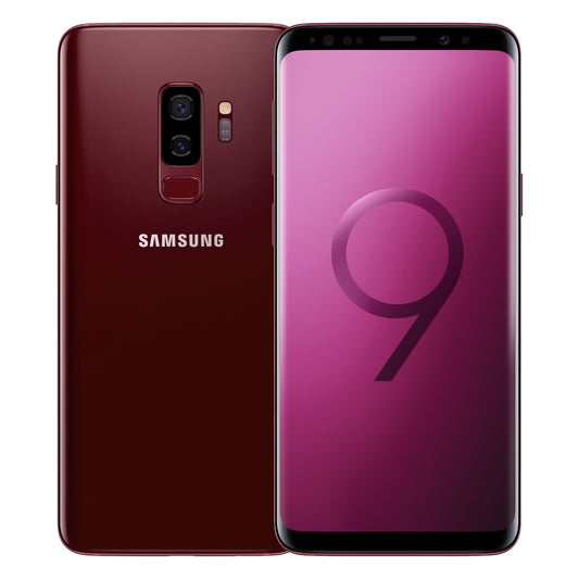 Burgundy Red