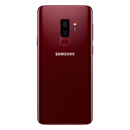 Burgundy Red