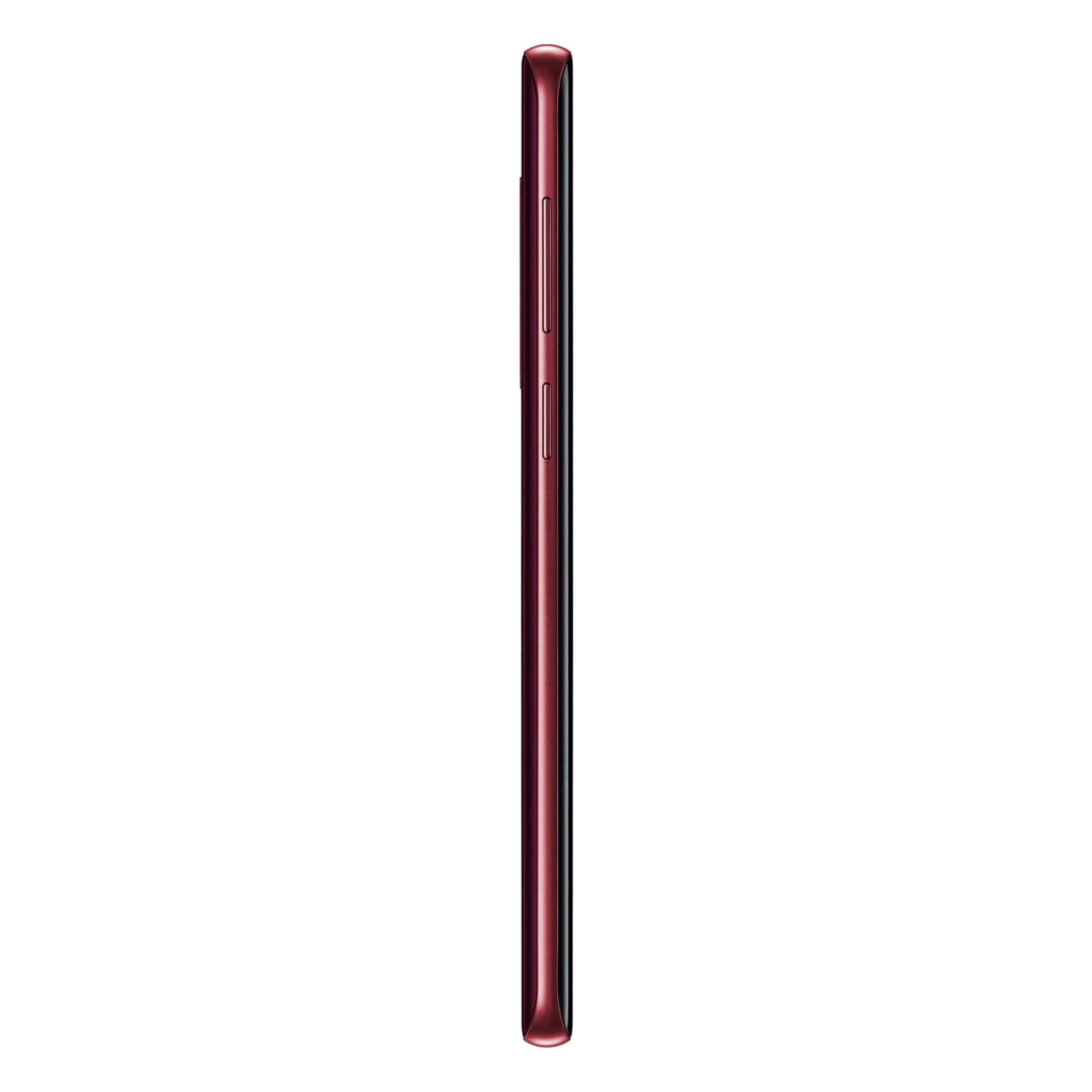 Burgundy Red