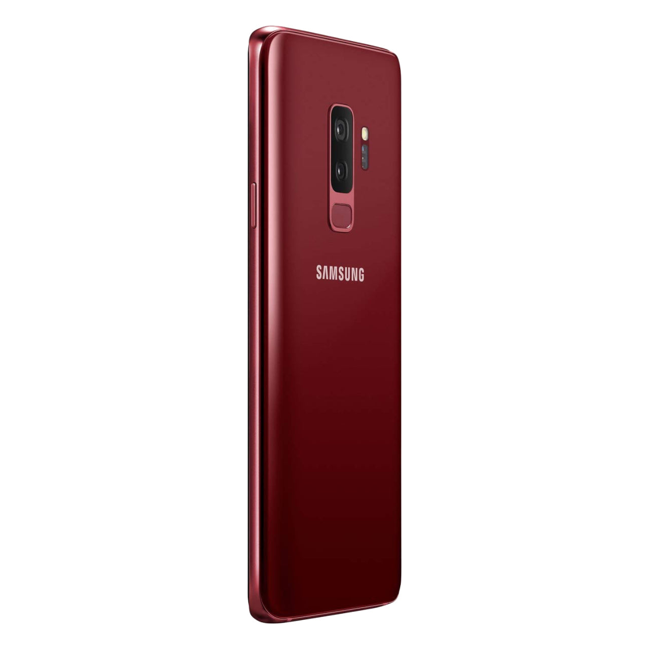 Burgundy Red