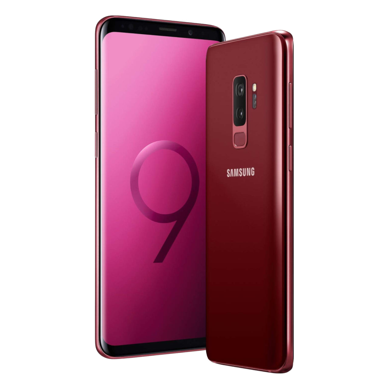 Burgundy Red